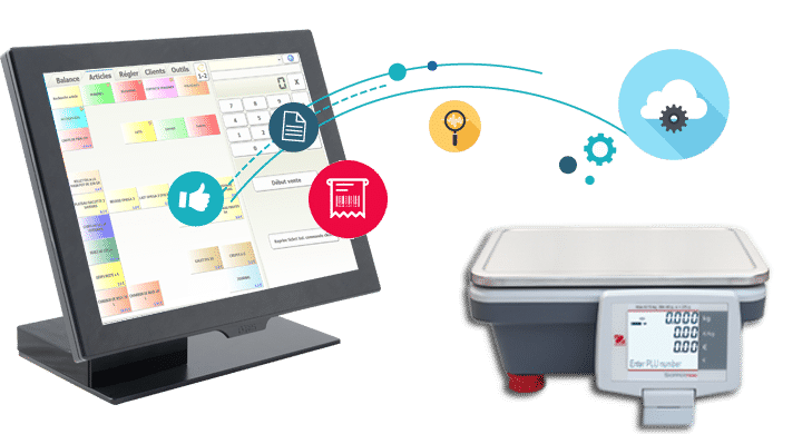Connectivité balance caisse